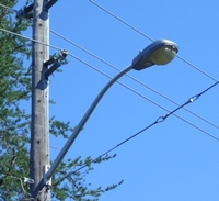 streetlight